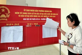 Cử tri kiểm tra danh sách cử tri tại khu vực bầu cử số 39. (Ảnh: Trần Việt/TTXVN)