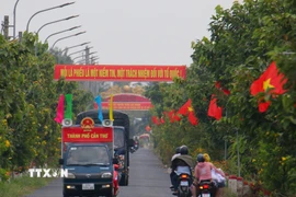 Tuyên truyền cuộc bầu cử bằng hình thức treo băngrôn, xe lưu động trên địa bàn xã Vĩnh Viễn, thành phố Cần Thơ. (Ảnh: Duy Khương/TTXVN)