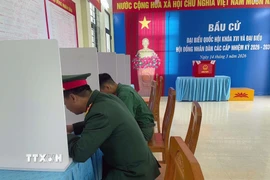 Quân và nhân dân trên đảo tiền tiêu Bạch Long Vĩ tham gia bầu cử sớm. (Ảnh: TTXVN phát)