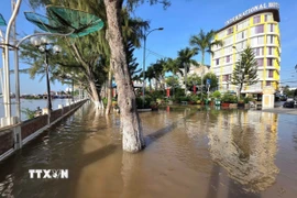 Bến Ninh Kiều ngập sâu do nước từ sông Cần Thơ tràn vào khi triều cường lên cao ngày 11/9/2025. (Ảnh: Thanh Liêm/TTXVN)