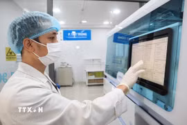 Khoa Xét nghiệm, Bệnh viện Đại học Y Dược Buôn Ma Thuột (tỉnh Đắk Lắk) đã áp dụng quy trình tự động hóa toàn bộ từ đăng ký bệnh nhân, cấp mã đến xử lý mẫu xét nghiệm. (Ảnh: TTXVN phát)