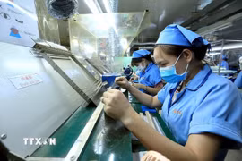 Kiểm tra sản phẩm tại Công ty Trách nhiệm hữu hạn Sankoh Việt Nam (Nhật Bản). (Ảnh: Tuấn Anh/TTXVN)