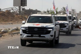 Đoàn xe của Ủy ban Chữ thập đỏ quốc tế trên đường tới điểm tiếp nhận các con tin Israel được phía Hamas trao trả, tại phía Nam Deir al-Balah Gaza, trung tâm Dải Gaza ngày 13/10/2025. (Nguồn: THX/TTXVN)