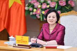Phó Thủ tướng Phạm Thị Thanh Trà chủ trì họp. (Ảnh: Minh Đức/TTXVN)