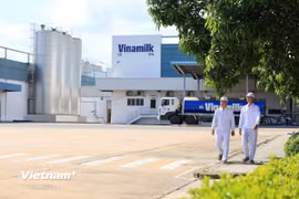 Vinamilk là doanh nghiệp sữa đầu tiên sở hữu cả trang trại và nhà máy đạt trung hòa carbon theo tiêu chuẩn PAS 2060:2014. (Ảnh: Minh Anh/Vietnam+)