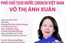Phó Chủ tịch nước Cộng hòa xã hội chủ nghĩa Việt Nam Võ Thị Ánh Xuân