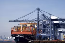Tàu chở hàng của MSC. (Nguồn: PA/TTXVN)