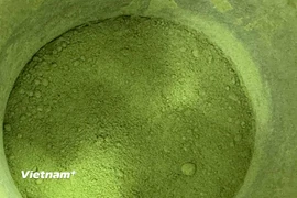 Mặc dù cây matcha thuộc cùng họ với trà xanh, trà đen và ô long (cây Camellia sinensis), cách chế biến và hương vị của matcha lại rất riêng biệt. (Nguồn: Vietnam+)