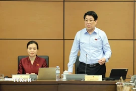 Chủ tịch nước Lương Cường phát biểu tại tổ. (Nguồn: TTXVN)