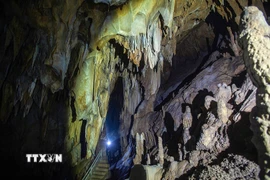 Động Nam Sơn hay còn gọi là động Tớn là một trong những hang động tự nhiên đặc sắc nhất của Khu bảo tồn thiên nhiên Ngọc Sơn - Ngổ Luông, tỉnh Phú Thọ. Nơi đây thu hút giới khoa học và du khách bởi sự nguyên sơ, kỳ bí và giá trị địa chất hình thành. (Ảnh: Trọng Đạt/TTXVN)