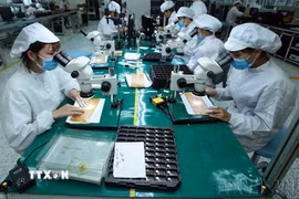 (Ảnh minh họa: Phạm Kiên/TTXVN)