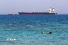 Con tàu di chuyển qua Vịnh Suez, Ai Cập. (Nguồn: THX/TTXVN)