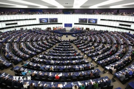 Toàn cảnh một phiên họp Nghị viện châu Âu ở Strasbourg, Pháp. (Nguồn: THX/TTXVN)