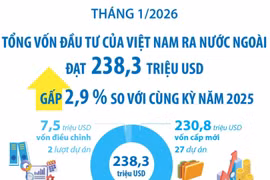 Tháng 1/2026: Đầu tư của Việt Nam ra nước ngoài đạt 238,3 triệu USD