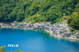 Hiện nay Ine còn khoảng 230 căn Funaya nối tiếp nhau dọc gần 5 km bờ vịnh, tạo nên khung cảnh "độc nhất" tại Nhật Bản. ( Ảnh: Xuân Giao/TTXVN)