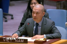 Công sứ Nguyễn Hoàng Nguyên phát biểu tại phiên thảo luận của Hội đồng Bảo an. (Ảnh: Thanh Tuấn/TTXVN)