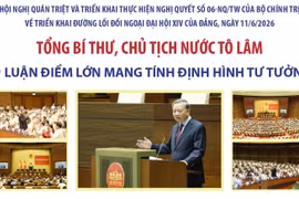 Chỉ đạo quan trọng Tổng Bí thư, Chủ tịch nước về triển khai đường lối đối ngoại