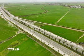 (Ảnh minh họa: Vũ Sinh/TTXVN)
