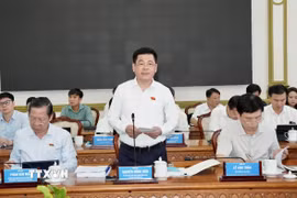 Ông Nguyễn Hồng Diên, Phó Chủ tịch Quốc hội, Trưởng đoàn giám sát phát biểu tại buổi làm việc. (Ảnh: Trung Tuyến/TTXVN)