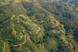 Con đường từ trung tâm xã Vân Sơn xuống xóm Xôm. (Ảnh: Trọng Đạt/TTXVN)