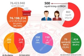 Cơ cấu 500 người trúng cử Đại biểu Quốc hội khóa XVI