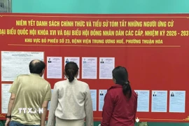 Người nhà và bệnh nhân tìm hiểu thông tin bầu cử tại Bệnh viện Trung ương Huế. (Ảnh: Mai Trang/TTXVN)