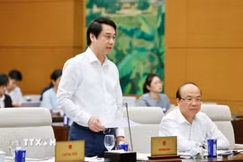 Thứ trưởng Bộ Ngoại giao Lê Anh Tuấn. (Ảnh: Doãn Tấn/TTXVN)