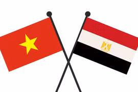 Điện mừng kỷ niệm lần thứ 74 Ngày Quốc khánh Cộng hòa Arab Ai Cập