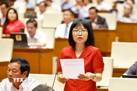 Đại biểu Quốc hội Nguyễn Thị Việt Nga. (Ảnh: Doãn Tấn/TTXVN)