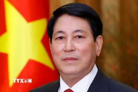 Chủ tịch nước Lương Cường. (Ảnh: Lâm Khánh/TTXVN)