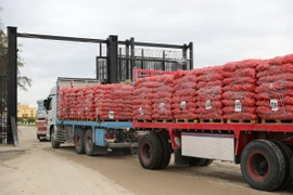 Xe tải chở hàng viện trợ nhân đạo qua cửa khẩu Rafah bên phía Ai Cập vào Dải Gaza. (Ảnh: THX/TTXVN)