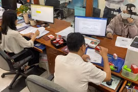 (Ảnh minh họa: Xuân Quý/TTXVN)
