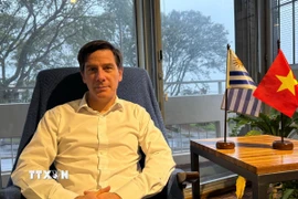 Giáo sư, Tiến sỹ Ignacio Bartesaghi, Giám đốc Viện Thương mại Quốc tế thuộc Đại học Công giáo Uruguay. (Ảnh: Diệu Hương/TTXVN)