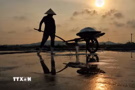 Trải qua bao thăng trầm, làng muối Tân Mai (thị xã Hoàng Mai, tỉnh Nghệ An) vẫn bền bỉ tồn tại như một “ký ức mặn” của vùng biển Bắc Trung Bộ. (Ảnh: Phương Anh/TTXVN phát)