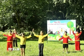 Một tiết mục văn nghệ của các cháu thiếu nhi tại “Ngày hội Gia đình Làng Việt tại D.C.” (Ảnh: Ngọc Quang/TTXVN)