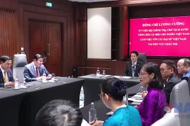 Chủ tịch nước làm việc với các Đại sứ Việt Nam tại châu Phi