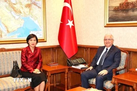 Đại sứ Đặng Thị Thu Hà gặp Bộ trưởng Quốc phòng Thổ Nhĩ Kỳ Yaşar GÜLER. (Nguồn: Đại sứ quán Việt Nam tại Thổ Nhĩ Kỳ/TTXVN phát)