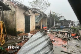 Bão số 10 kèm mưa lớn kéo dài đã khiến nhiều địa phương ở Thanh Hóa ngập sâu, sập nhà, cây cối gãy đổ, hàng chục thôn bản bị cô lập. (Nguồn: TTXVN phát)