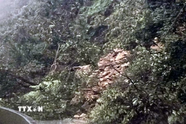 Sạt lở đường lên Cửa khẩu Quốc tế Cầu treo. (Ảnh: Công Tường/TTXVN)