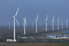 Các turbine gió tại tỉnh Giang Tô, Trung Quốc. (Nguồn: THX/TTXVN)