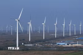 Các turbine gió tại tỉnh Giang Tô, Trung Quốc. (Nguồn: THX/TTXVN)