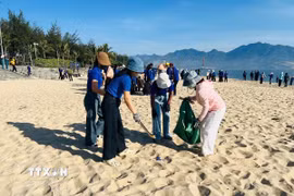 Lực lượng thanh niên thành phố Đà Nẵng ra quân dọn dẹp bãi biển hưởng ứng đợt ra quân Ngày Chủ nhật xanh đồng loạt toàn quốc lần thứ II năm 2026. (Ảnh: Khoa Chương/TTXVN)