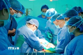 Các bác sỹ thực hiện ghép gan cho người bệnh. (Nguồn: TTXVN phát)
