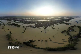 Toàn cảnh hơn 2.000 hộ ở phường Vân Hà (Bắc Ninh) bị cô lập do nước sông Cầu dâng cao. (Ảnh: Trần Việt/TTXVN)