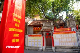 Hàng triệu kiều bào ở khắp năm châu hướng về ngày bầu cử 15/3. (Ảnh: Minh Sơn/Vietnam+)