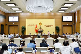 Quang cảnh phiên họp. (Ảnh: Doãn Tấn/TTXVN)