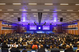 Toàn cảnh khóa họp lần thứ 69 của Đại hội đồng IAEA ở Vienna, Áo, ngày 15/9/2025. (Nguồn: THX/TTXVN)