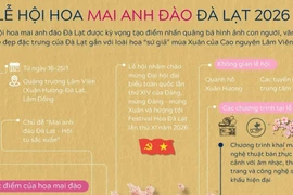 Thông tin về Lễ hội hoa mai anh đào Đà Lạt năm 2026