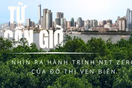 Từ Cần Giờ nhìn ra hành trình Net Zero của đô thị ven biển