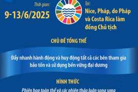 Thông tin về Hội nghị Đại dương Liên hợp quốc lần thứ 3